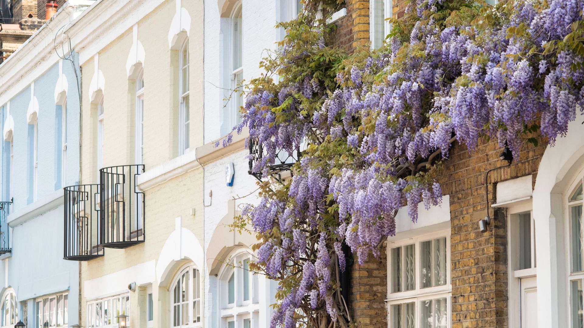 https://invisiblehomes.co.uk/api/media/file/Wimbledoncopy-1920x1080.jpg